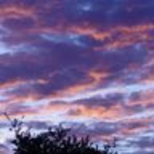 Meet your Posher, Pilar